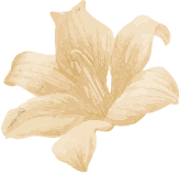 Aromatherapy Massage in Goa